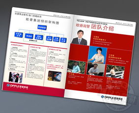 古鎮(zhèn)燈飾畫冊與廣告設(shè)計(jì) 專業(yè)代理服務(wù)助您點(diǎn)亮品牌